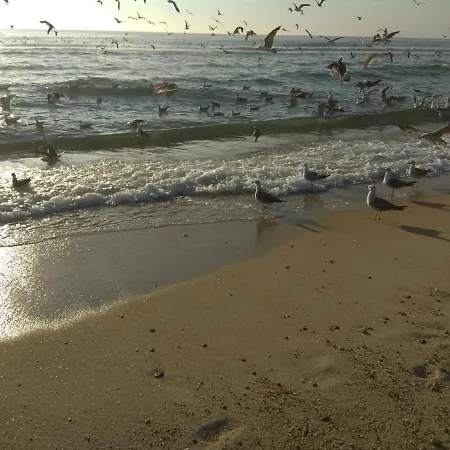 Daire Em - Nenufares *