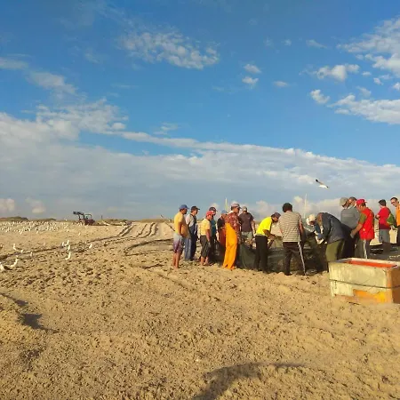 Em - Nenufares Daire