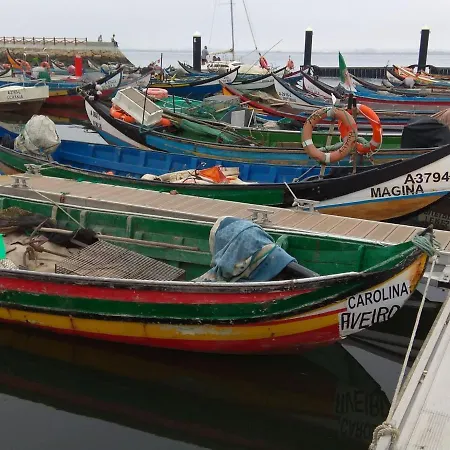 Em - Nenufares * Torreira