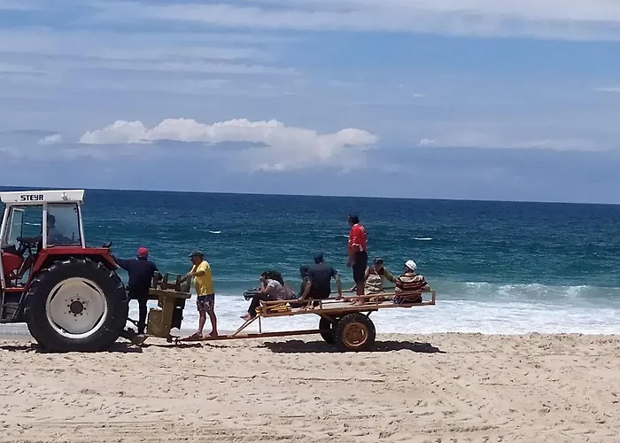 Em - Nenufares Daire *