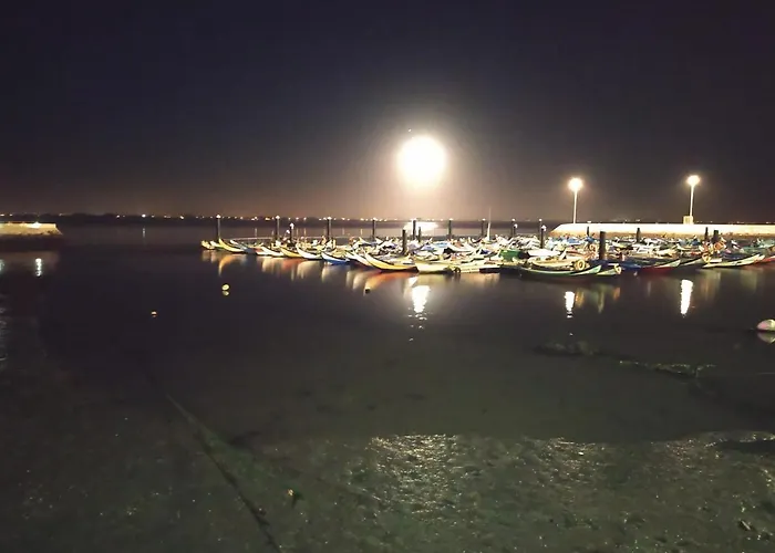 Em - Nenufares Daire