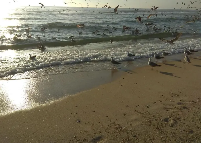 Daire Em - Nenufares *