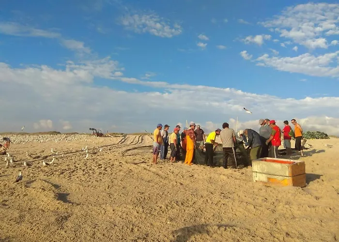 Em - Nenufares Daire