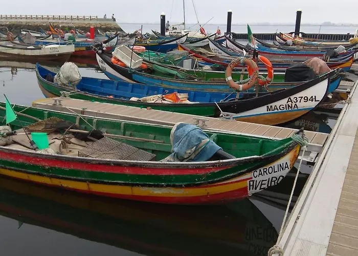 Em - Nenufares * Torreira