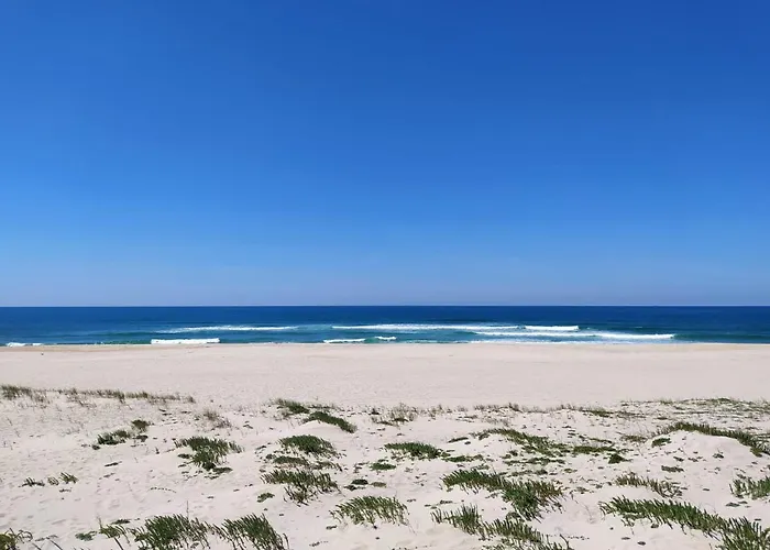 Daire Em - Nenufares Torreira